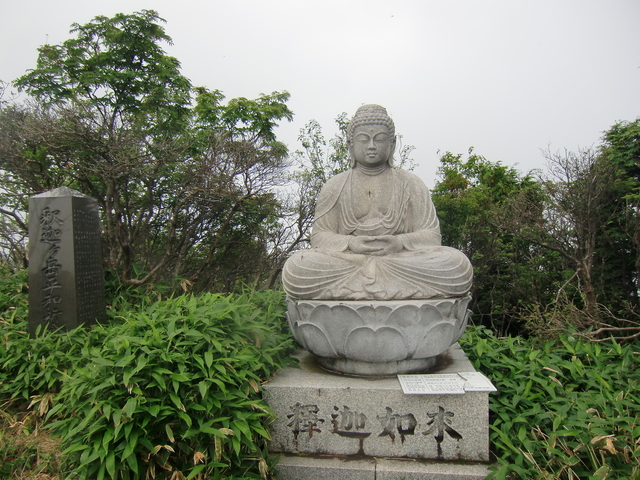 CIMG4131.JPG