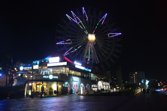 DSC_0810.JPG