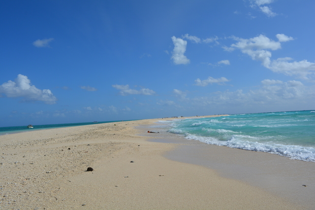 DSC_0990.JPG