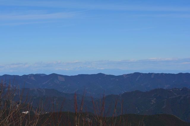 DSC_0243_R.JPG