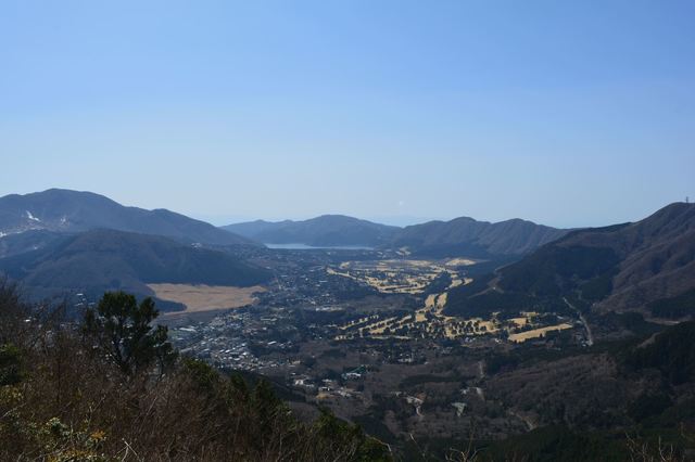DSC_0252_R.JPG