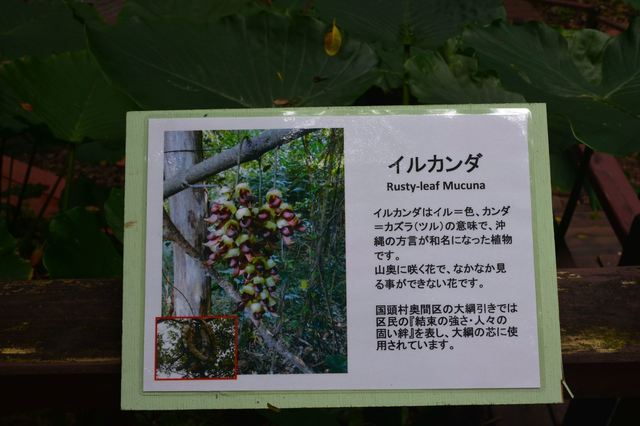 DSC_0357_R.JPG