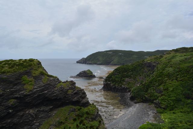 DSC_0501_R.JPG