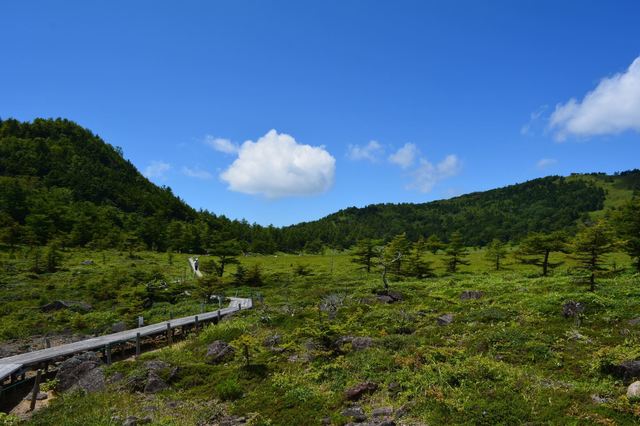 DSC_0809_R.JPG