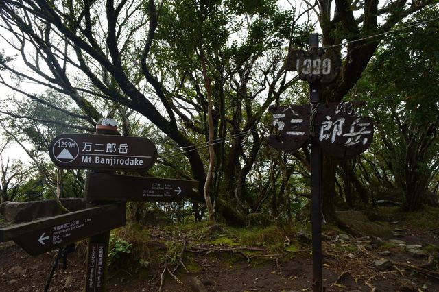 DSC_0888_R.JPG