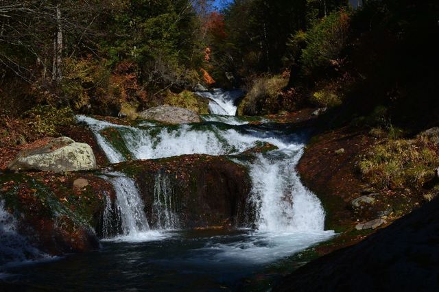 DSC_0931_R.JPG