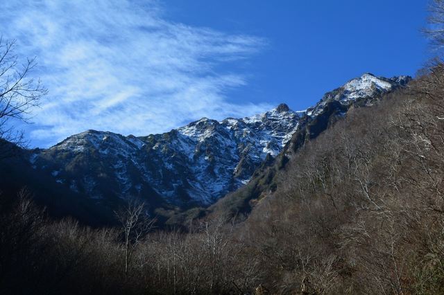 DSC_1028_R.JPG