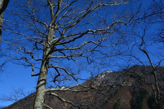 DSC_1030_R.JPG