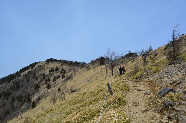 DSC_0266_R.JPG