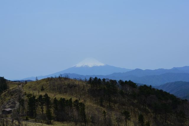 DSC_0270_R.JPG