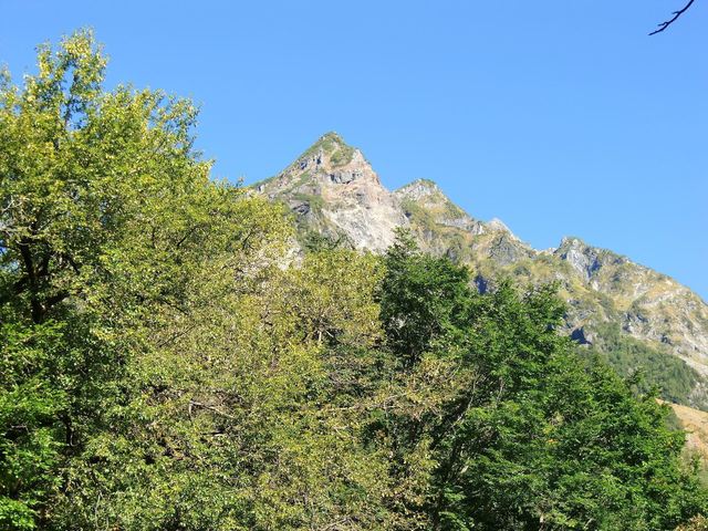 CIMG4406_R.JPG