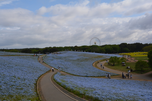 DSC_0723.JPG