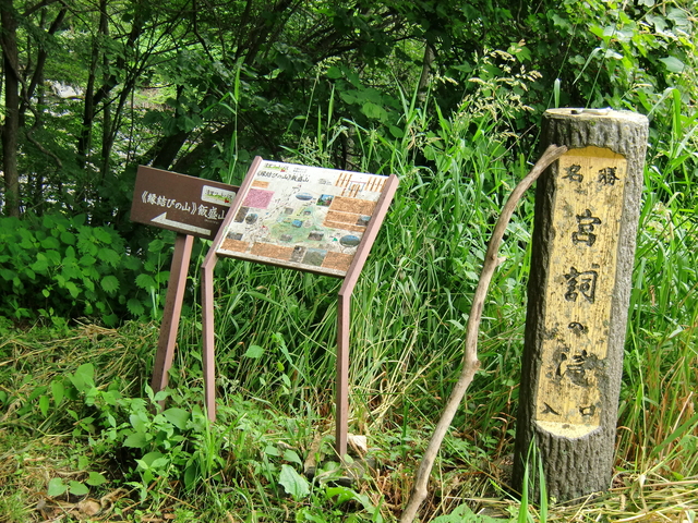 CIMG4774.JPG