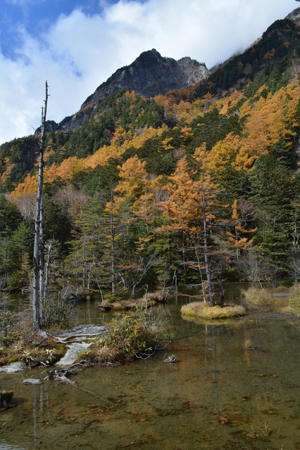 DSC_0029.JPG