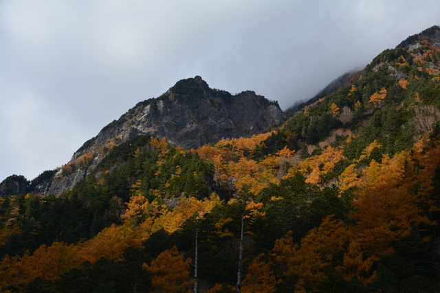 DSC_0039.JPG