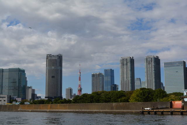DSC_0877.JPG