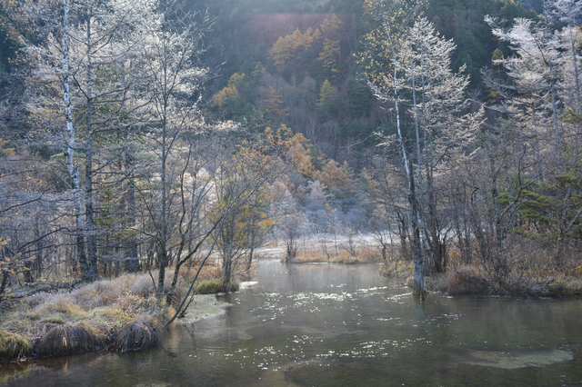 DSC_0984.JPG