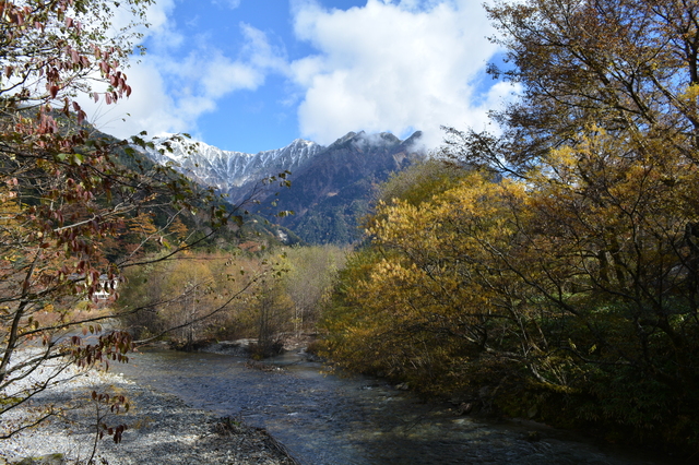 DSC_0991.JPG
