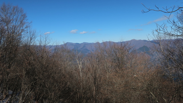 IMG_1315.JPG