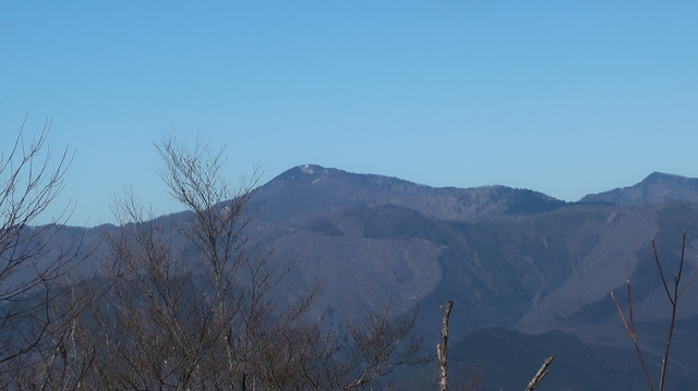 IMG_1316.JPG
