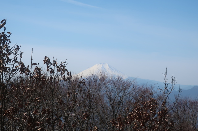 IMG_1448.JPG