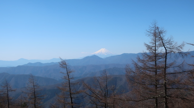 IMG_1700.JPG